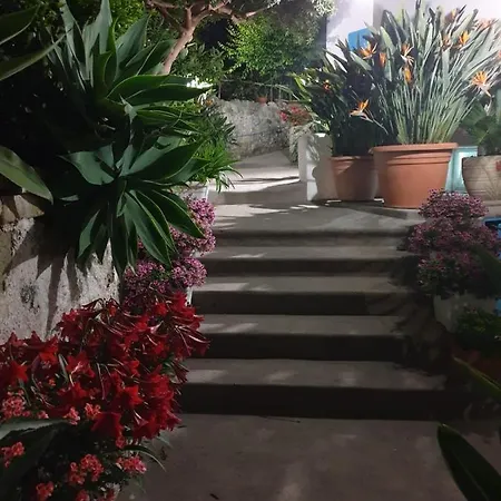 Loreta Affittacamere Forio di Ischia