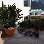 洛雷塔别墅 招待所 Forio di Ischia