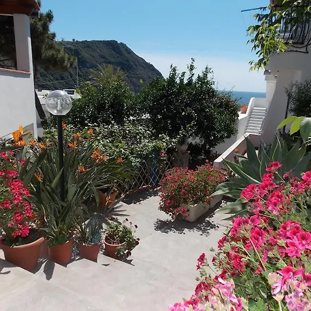 ゲストハウス Loreta Forio di Ischia