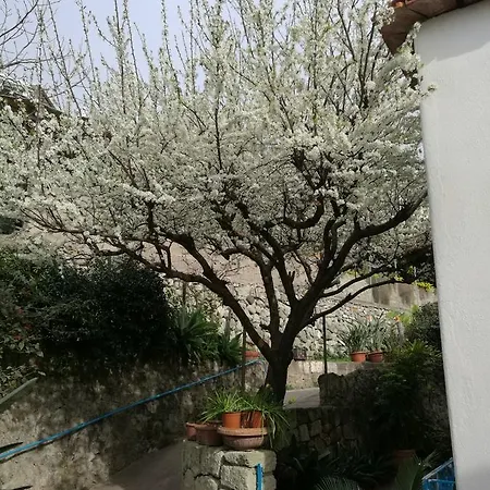 Loreta Vendégház Forio di Ischia