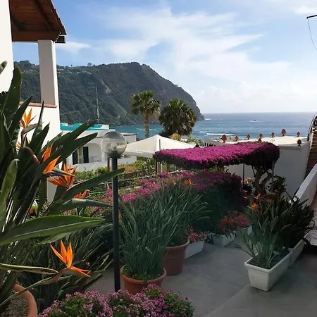 Loreta Forio di Ischia