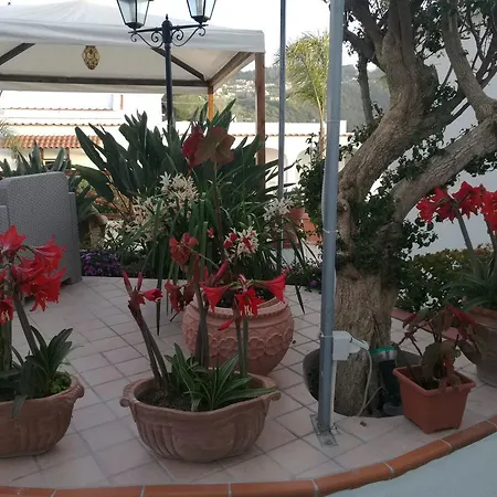 Loreta Гостевой дом 4*