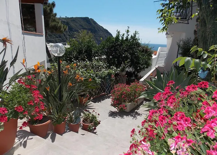 Pensión Loreta Forio di Ischia