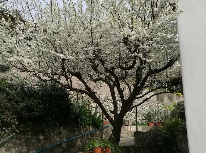 Loreta Pensión Forio di Ischia